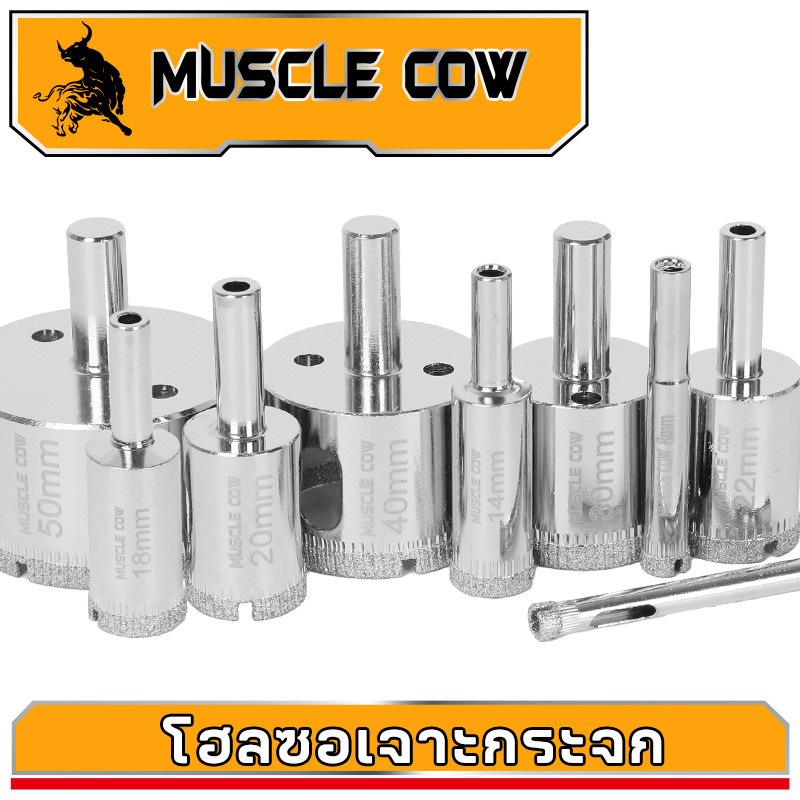 MUSCLE COW ดอกสว่านคุณภาพสูง สำหรับเจาะเหล็ก โลหะ อลูมิเนียม สแตนเลส ดอกโฮลซอไฮสปีด ขนาด 6mm-50mm