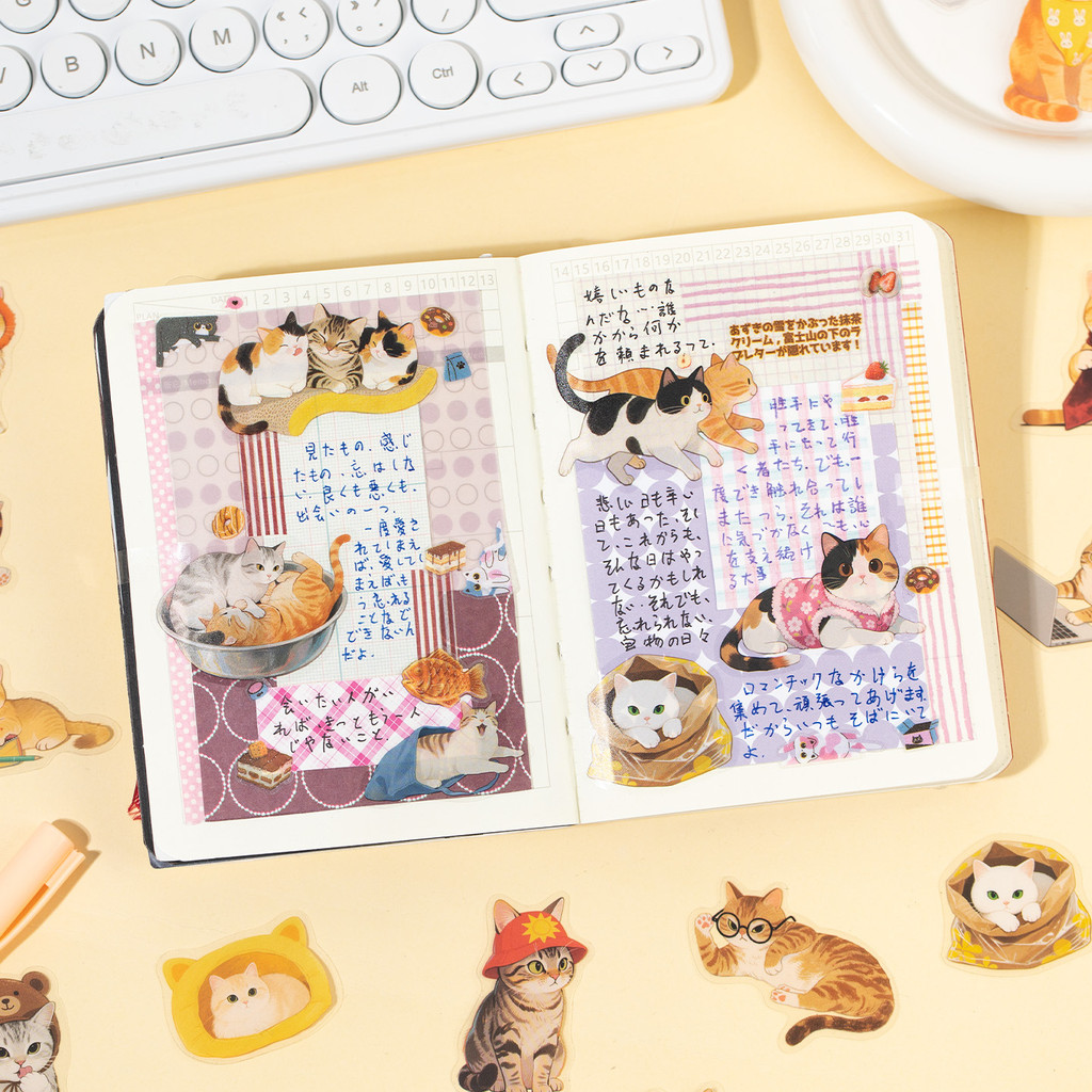 Back To SchoolMr. กระดาษ 30 ชิ้น PET Cat สติกเกอร์แพ็คกันน้ํารูปแบบน่ารักสติกเกอร์สําหรับบัญชีมือ DIY ตกแต่ง Collage ราคา ถูกที่สุด ดีลบีเคเค แกลเลอรีภาพที่ 4
