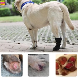 ฉี่ ตัวป้องกันอุ้งเท้าสุนัข, โพสต์ผ่าตัดกันน้ําสุนัขป้องกันบ…