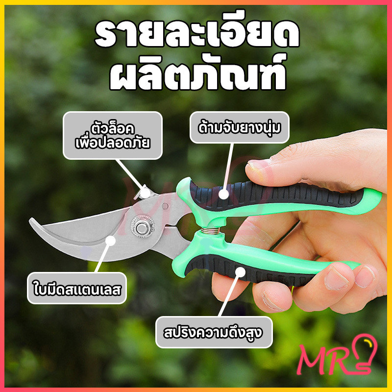 กรรไกรตัดกิ่งไม้ กรรไกรแต่งกิ่งปากโค้ง กรรไกรทำสวน มีหลายสีให้เลือก กรรไกรตัดกิ่ง แบบสเตนเลส รูปที่ 5