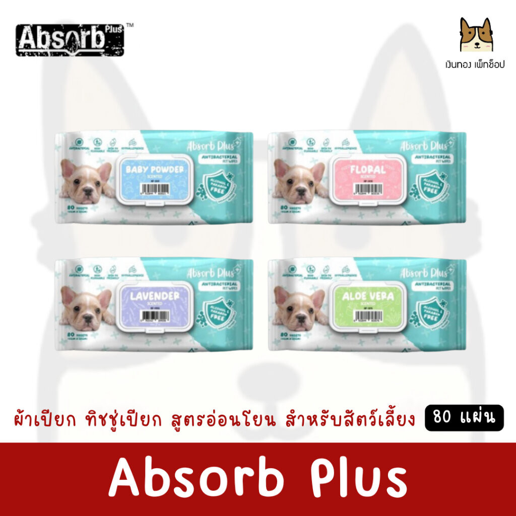 Absorb Plus ผ้าเปียกเช็ดตัว ทิชชู่เปียก อ่อนโยน สำหรับสุนัขและแมว ขนาด 20X15ซม. (80 แผ่น / แพ็ค)