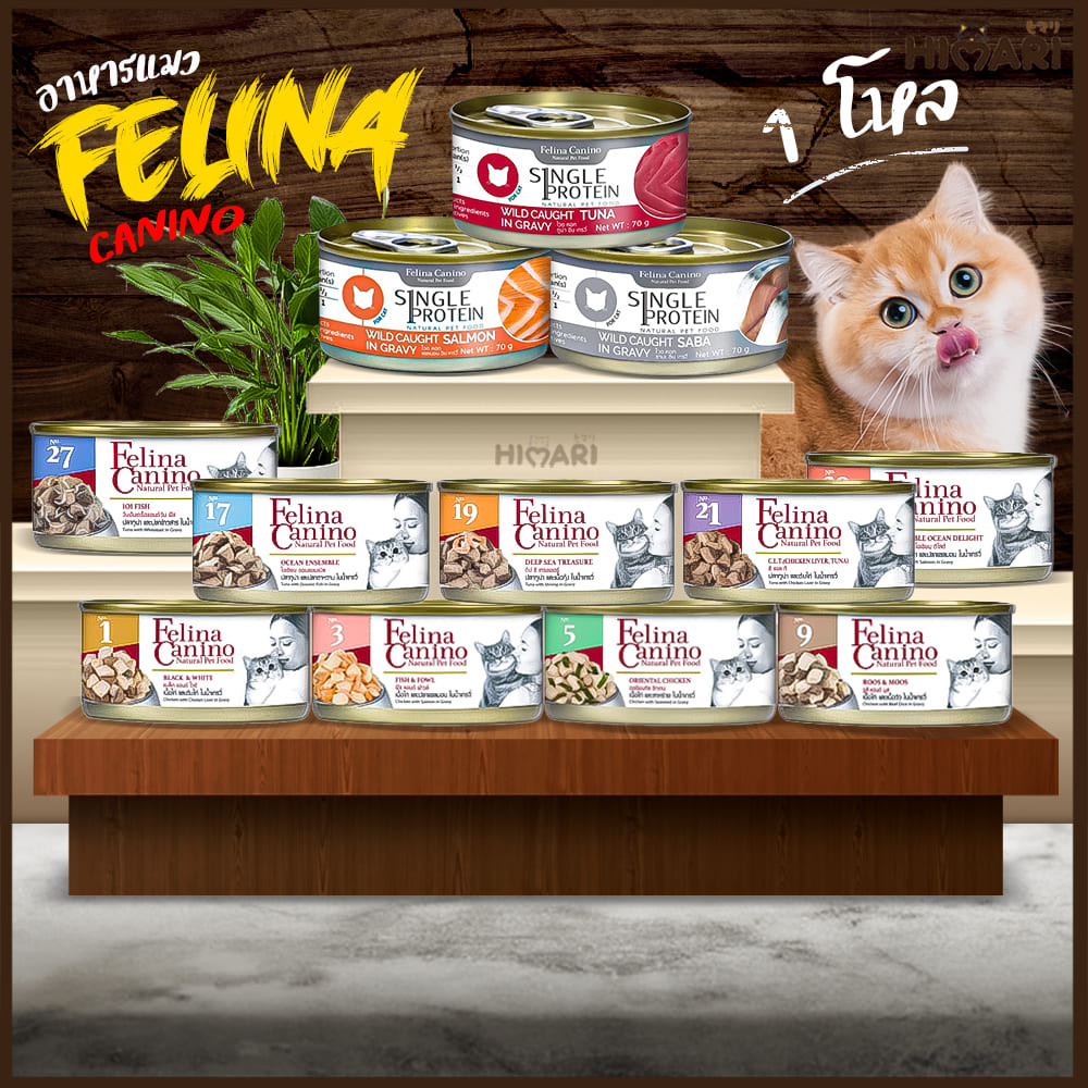 อาหารแมวแบบกระป๋องเฟลิน่า คานิโน่ Felina Canino อาหารเปียกแมว สุขภาพดี ขนาด 70 กรัม 1โหล (12กระป๋อง)
