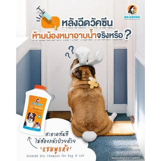 BEARING Ear Care Lotion โลชั่นเช็ดหูสุนัข 100 ml ลดการอักเสบ กำจัดกลิ่น ทำความสะอาด ฆ่าเชื้อแบคทีเรีย
