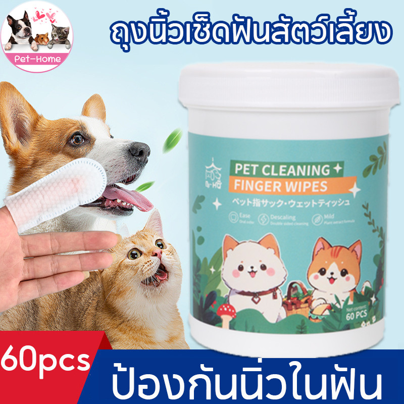 🐶😺ถุงนิ้วเช็ดฟันสัตว์เลี้ยง 60ชิ้น ลดคราบหินปูน ถุงนิ้วพร้อมใช้ทำความสะอาดฟันสุนัข ผ้าเช็ดทำความสะอาดปากดับกลิ่น