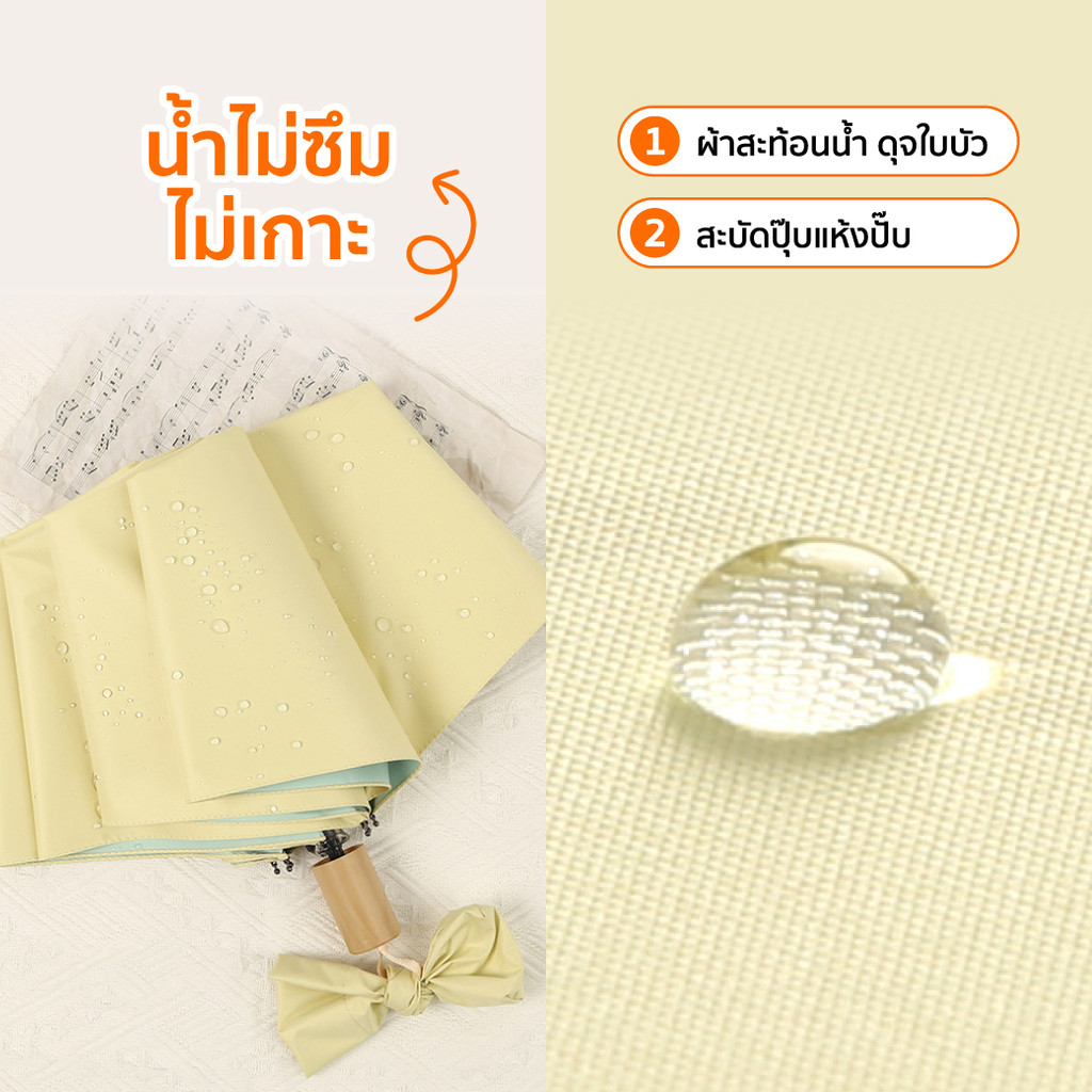 รูปภาพ 5