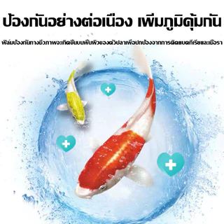 2500ml 100 ปีไม่เปลี่ยนน้ำ CMOMO จุลินทรีบ่อปลา ปรับปรุงคุณภาพน้ำ ดูแลสุขภาพปลา ละลายอุจจาระ ดับกลิ่นเหม็น แท้ 100%