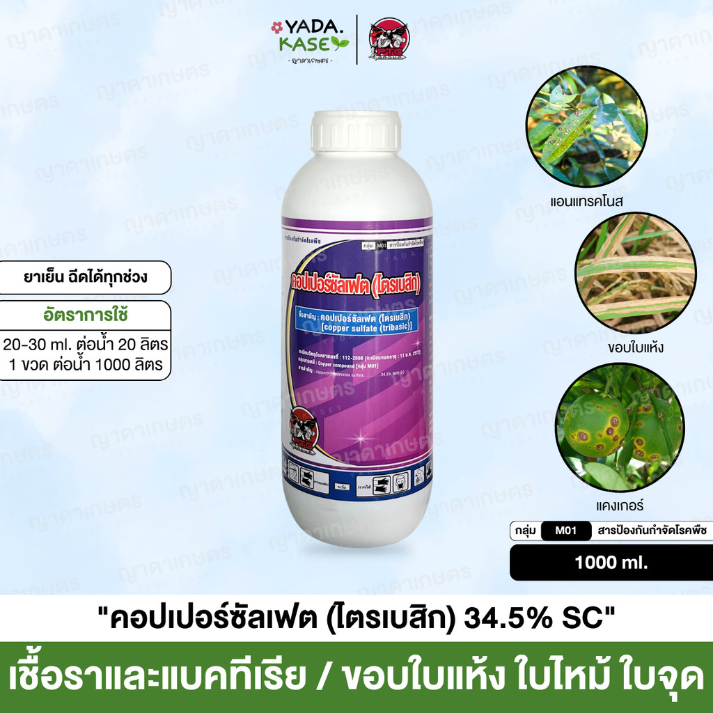 🌤 คอปเปอร์ซัลเฟต (ไตรเบสิก) เกรดพรีเมี่ยม หยุดเชื้อรา แบคทีเรีย ขอบใบแห้ง แคงเกอร์ ใบไหม้ ใบจุด ราหล