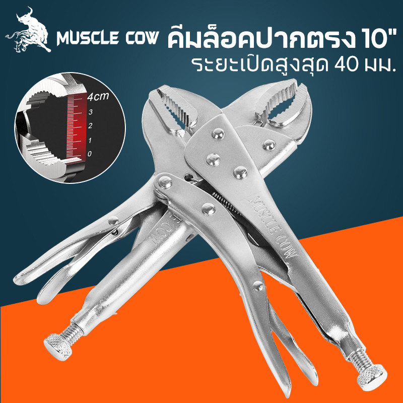 MUSCLE COW คีมล็อคของแท้ ขนาด 10 นิ้ว สำหรับงานหนัก ความแข็งแรงสูง ทนความร้อนได้ ได้สบาย ปากคีมกาง 45 มม.