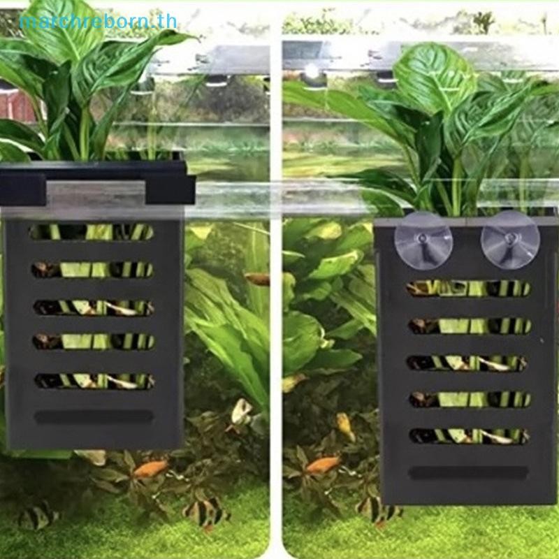 # Marchreborn.th # ลอย Aquarium ผู้ถือพืชตะขอพืชน้ําหม้อ Aquarium Planter ถ้วยชาวไร่ตะกร้า Aquascape ตกแต่ง .