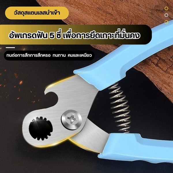 กรรไกรหอย 2 in 1 ที่ตัดก้นหอย เครื่องมือตัดพิเศษสำหรับตัดร่องก้นหอยทากตัดหางสิง ตัวช่วยตัดก้นหอยขมได้อย่างรวดเร็ว - รูปที่ 6