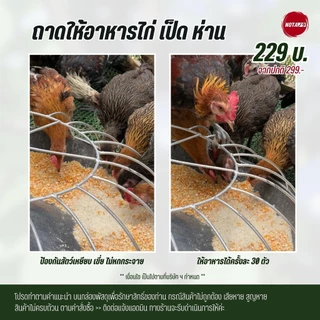 NOTA ถาดให้อาหารสัตว์ ไก่ เป็ด ห่าน พร้อมฝาครอบตะแกรงเหล็ก 30 ช่อง (พร้อมส่ง)