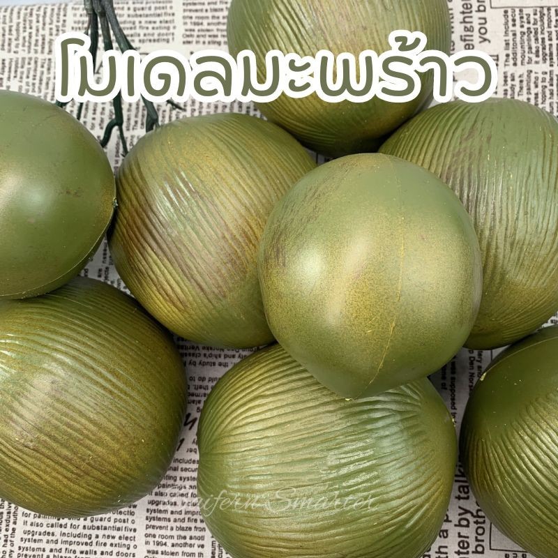 โมเดลมะพร้าว มะพร้าว ปลอม มะพร้าวสีเขียวเทียม