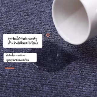 SUNALOZ-พรมไนล่อน ปูพื้น ดักฝุ่น กันลื่น พร้อมส่ง XD-T9