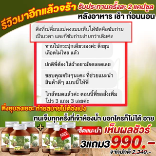 พิมพ์พญา ปราบริดสีดวง ริชชี่พิมพ์พญา ติ่งหัวยุบ ฝ่อ หายปวด อักเสบ 1 กระปุก 30 แคปซูล