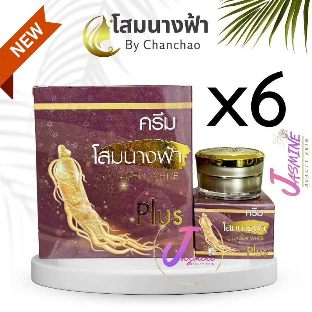 ครีมโสมนางฟ้า จันทร์เจ้า ไนท์ครีม ( เซต 6 กล่อง ) Chanchao Som Nang Fah Collagen ครีมกลางคืน 20 g.