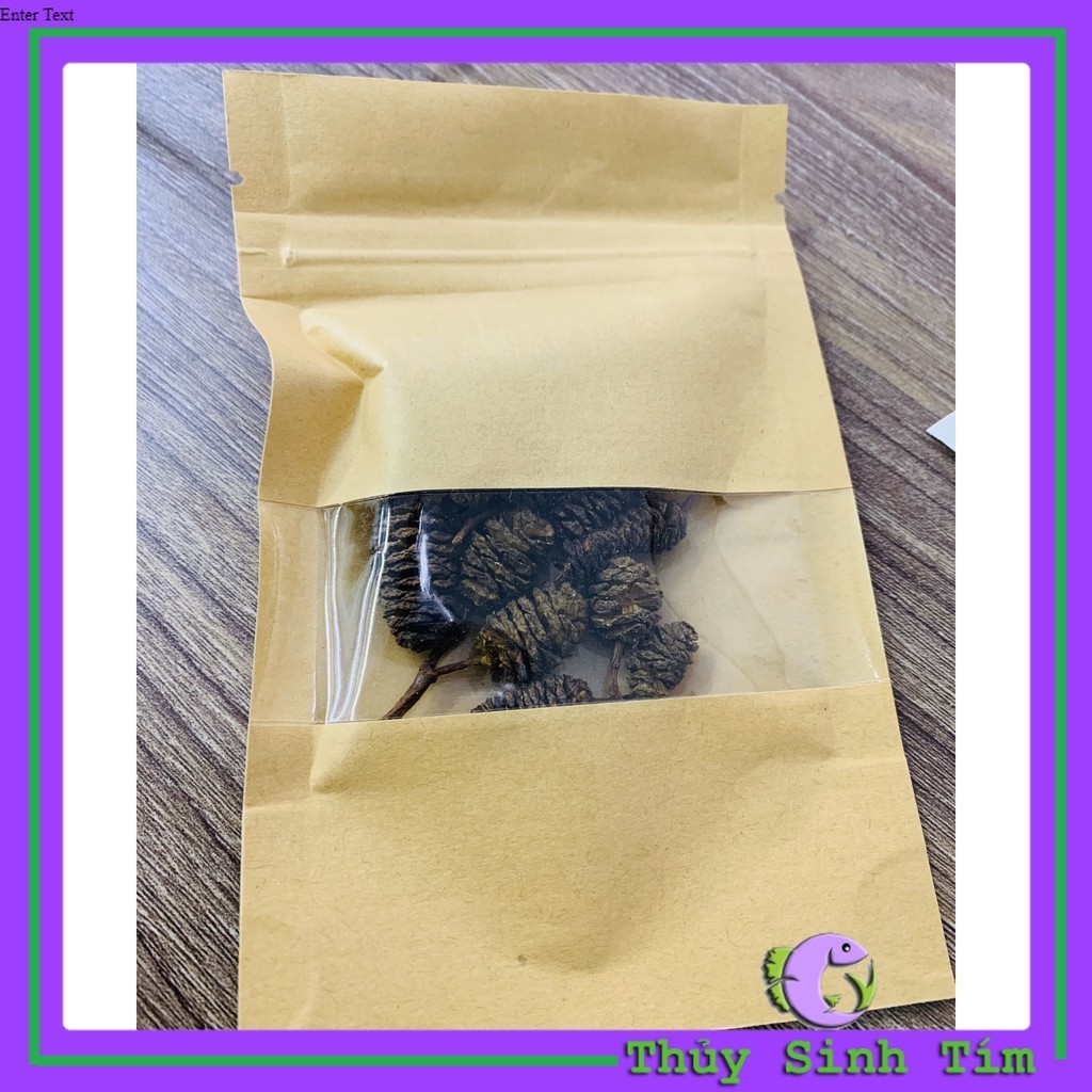 ALDER CONES ต้นสนแห้ง CONES (Erlnzaphen)