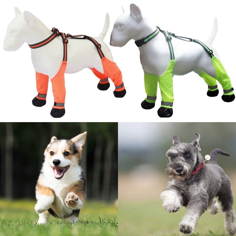 Queen Safe Dog Shoes All Breeds Dog Footwear Outdoor Pet Paws Protectors