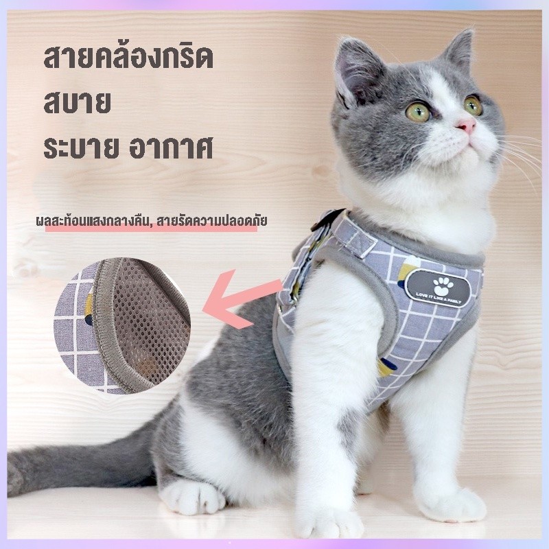สินค้าอยู่ในไทย พร้อมส่ง เสื้อรัดอก เสื้อหมา เสื้อแมว สายจูงหมา สุนัข สายจูงแมว สายจูงสัตว์เลี้ยง ลายตาราง พร้อมส่ง