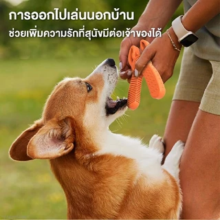 MOMOVIDA ของเล่นสำหรับสุนัข ทรงคีมปากกว้าง/ค้อน/ขวาน/สมอ ทนต่อการกัด ช่วยขัดฟัน ทําความสะอาดฟัน สําหรับสัตว์เลี้ยง
