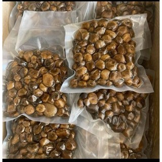 เห็ดถอบอ่อนๆใหม่ๆปี 2568 ราคาถูกที่สุด