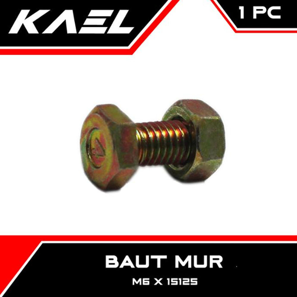 1 PC Bolt Nut M6 X 15 Bolt Nut M6x15-M 6 X 15-M6-6x15