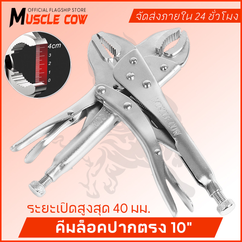 MUSCLE COW คีมล็อคของแท้ ขนาด 10 นิ้ว สำหรับงานหนัก ความแข็งแรงสูง ทนความร้อนได้ ได้สบาย ปากคีมกาง 45 มม.