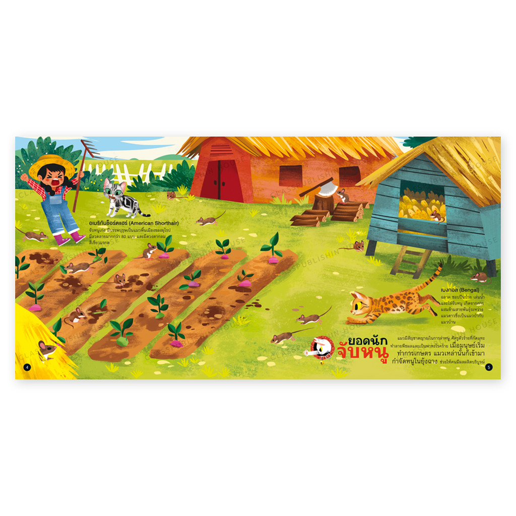 ห้องเรียน หนังสือสติ๊กเกอร์ ความลับของแมว ความรู้รอบตัวรู้จักแมวสายพันธุ์ต่างๆ หนังสือรางวัล - รูปที่ 4