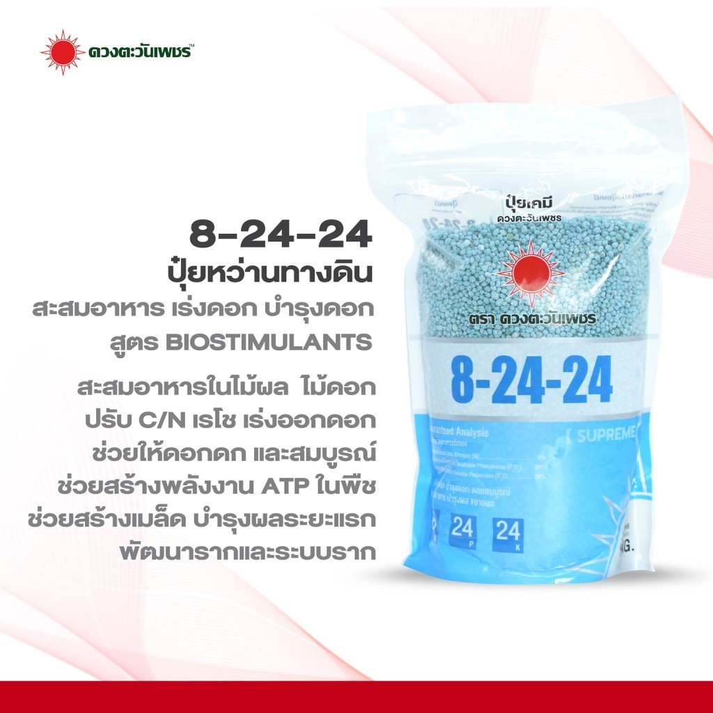 ปุ๋ยสูตร 8-24-24 (แบรนด์) ดวงตะวันเพชร บำรุงดอก - ผล ( ขนาด 1 กิโลกรัม )เร่งดอก เร่งผล ช่วยบำรุงในกา