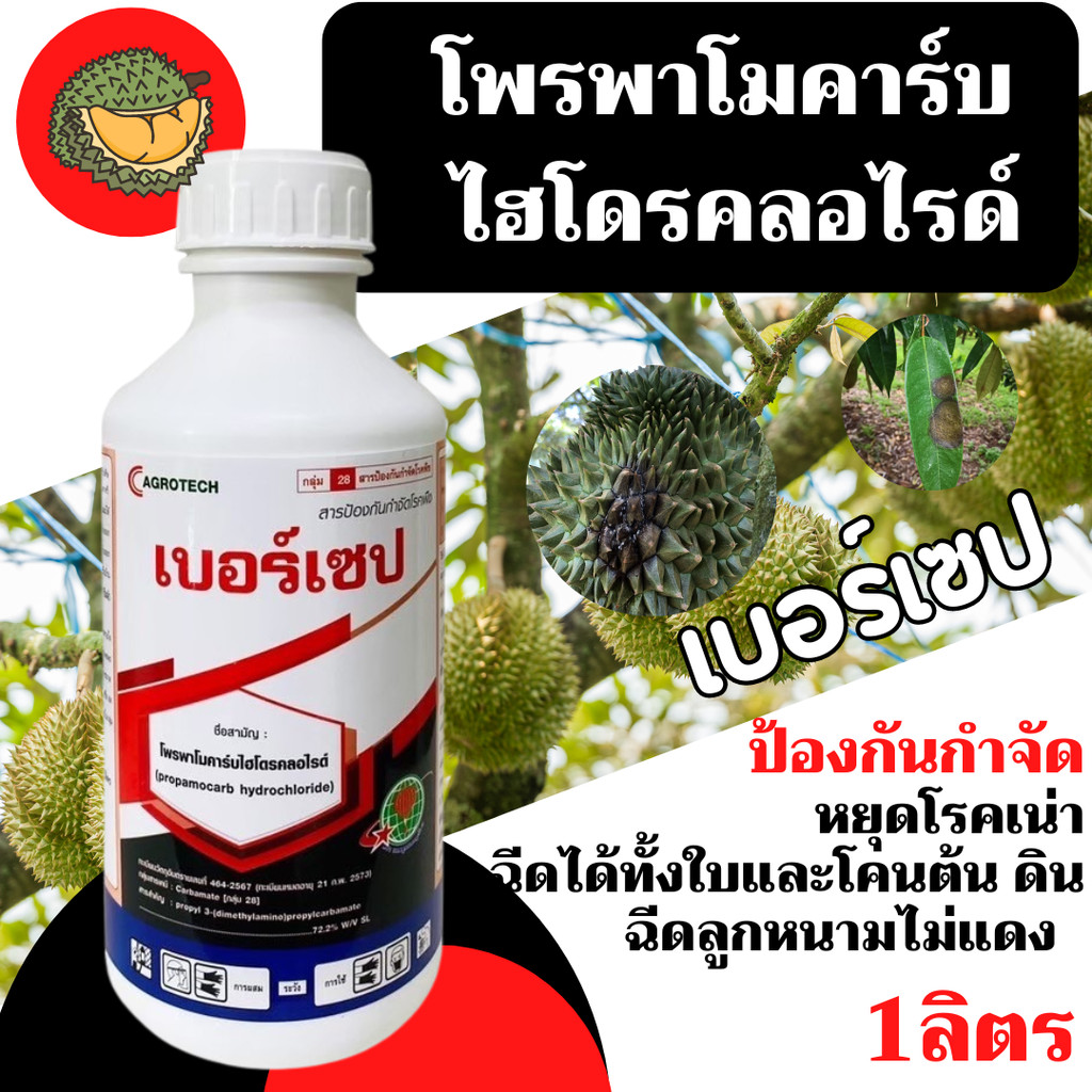 [บอลลูน] โพรพาโมคาร์บ-ไฮโดรคลอไรด์ กำจัดโรครากเน่าโคนเน่า ฉีดดิน ฉีดลูกได้ หนามไม่แดง ขนาด1ลิตร