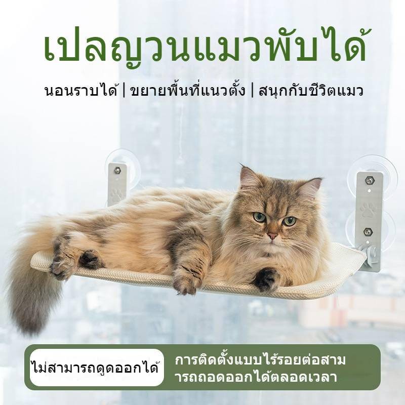 เตียงแมว คุมาโกะ พร้อมกระจกไร้สายพับน้ําหนักกล้าที่จะเข้าถึง 30 กก. ที่นอนแมว ที่นอนแมวติดกระจก