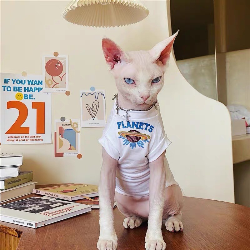 เสื้อผ้าสัตว์เลี้ยงคลังสินค้าพร้อมเสื้อกั๊กแขนกุดสไตล์ใหม่ข้ามพรมแดนฤดูร้อนเสื้อผ้าเครื่องปรับอากาศแมวไม่มีขนเยอรมัน คนโง่ เสื้อผ้าแมว