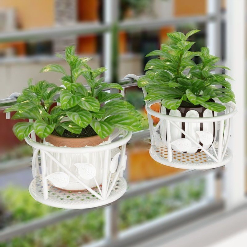 ที่วางดอกไม้แขวนระเบียง | เหมาะกับต้นเลื้อย-พลูด่าง-ลิ้นมังกร ดีไซน์เหล็กดัดแขวนได้ ใช้พื้นที่แนวตั้ง