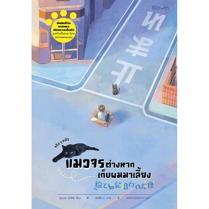 Se-ed (ซีเอ็ด) : หนังสือ จริง ๆ แล้วแมวจรต่างหากเก็บผมมาเลี้ยง