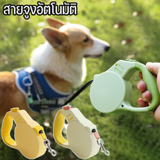 🐾COD🐾สายจูงสัตว์เลี้ยง สายจูงสุนัขแบบยืดหดอัตโนมัติ สายยาว ส…