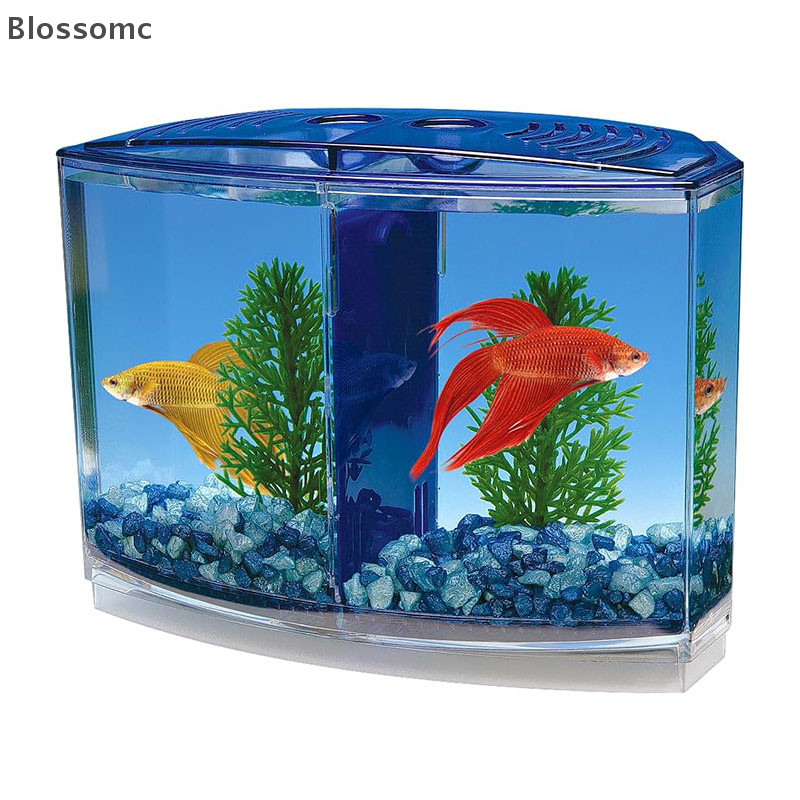 Blossomc ขนาดใหญ่ช่องคู่ Figh กล่องปลา Eco Rumble ปลา Aquarium Mini Aquarium พลาสติกแยกกล่อง Breeding Box ใหม่