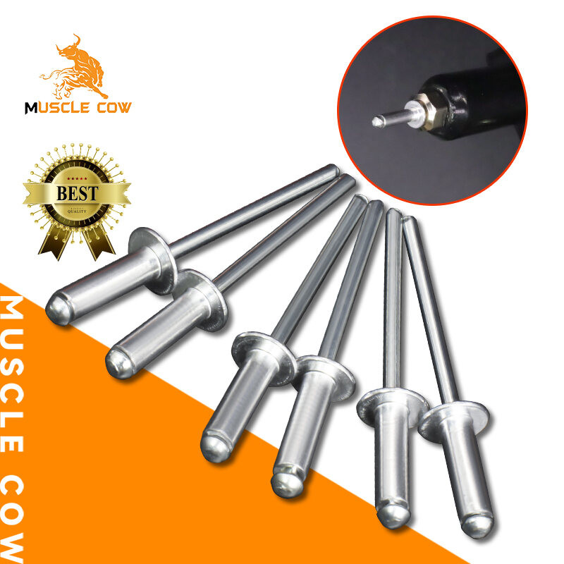 MUSCLE COW ลูกรีเวท หมุดย้ำ ตะปูยิง 4x12mm หมุดย้ำหัวใหญ่ หมุดย้ำสำหรับประตูรถรถบรรทุก โดยเฉพาะหมุดย้ำ 180g/ห่อ