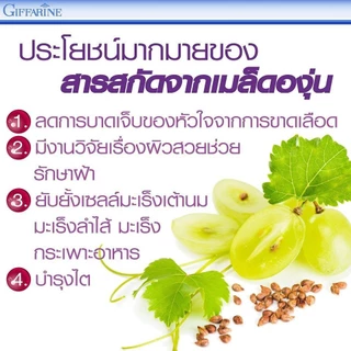 เกรป ซี-อี กิฟฟารีน สารสกัดจากเมล็ดองุ่น | GRAPE C - E GIFFARINE ดูแลฝ้า กระ จุดด่างดำ ดูแลผิวพรรณ