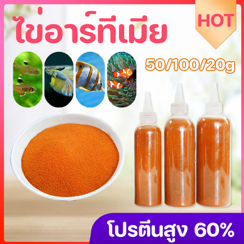 ไข่อาร์ทีเมีย อาหารปลากัด อาร์ทีเมียลอกเปลือก ให้ปลากินได้ทันที สำหรับอนุบาลลูกปลาและปลาขนาดเล็ก