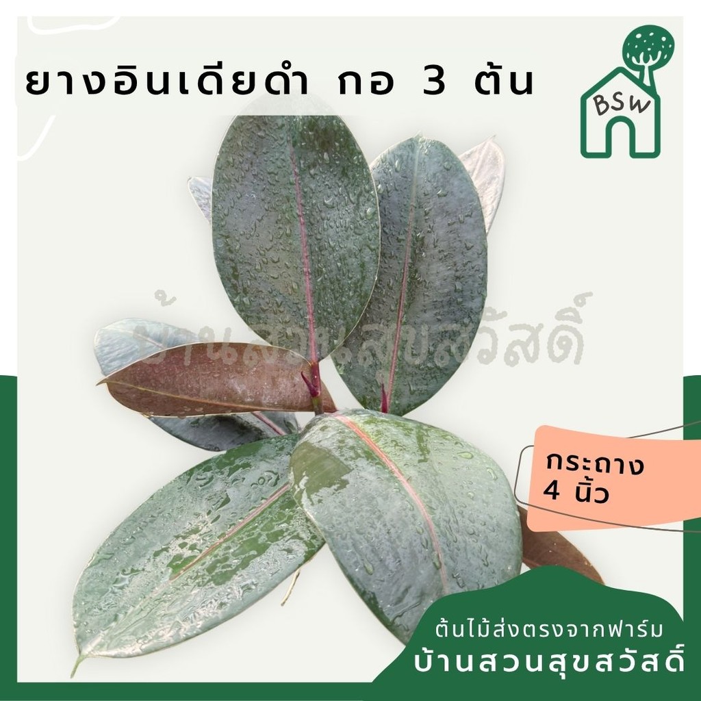 มุมมอง 3