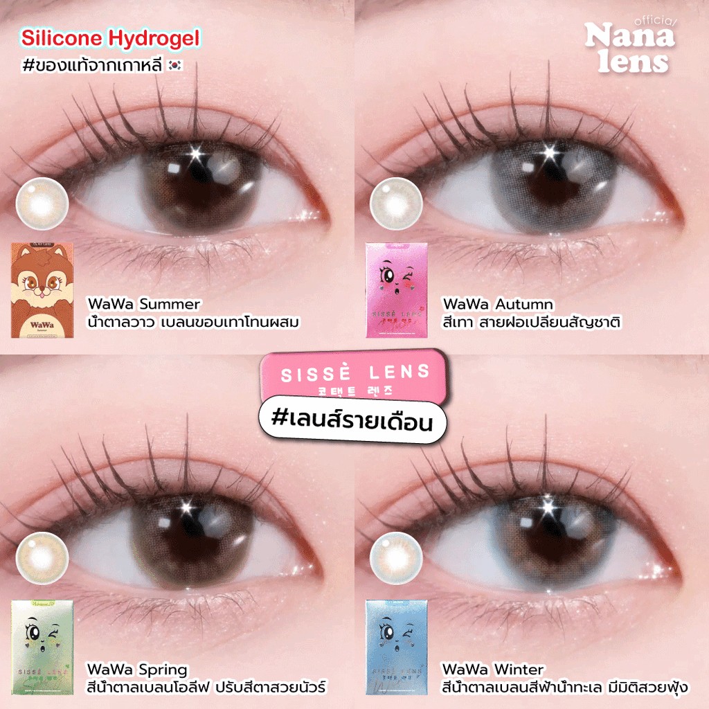 Sisse Lens รุ่น WaWa สี Summer/Spring/Winter/Autumn คอนแทคเลนส์รายเดือน