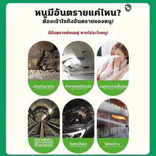 ไล่หนูในรถยนต์ ยากำจัดหนู แรง ๆ ยาไล่หนูในบ้าน ไล่หนู ลูกเหม็นไล่หนู ยาไล่หนู ไล่หนูถาวร รวดเร็วมีประสิทธิภาพ