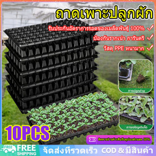 ถาดเพาะกล้า 5/10 ชิ้น ถาดเพาะชำ เมล็ด ไฮโดร 50,105,128หลุม ถ…