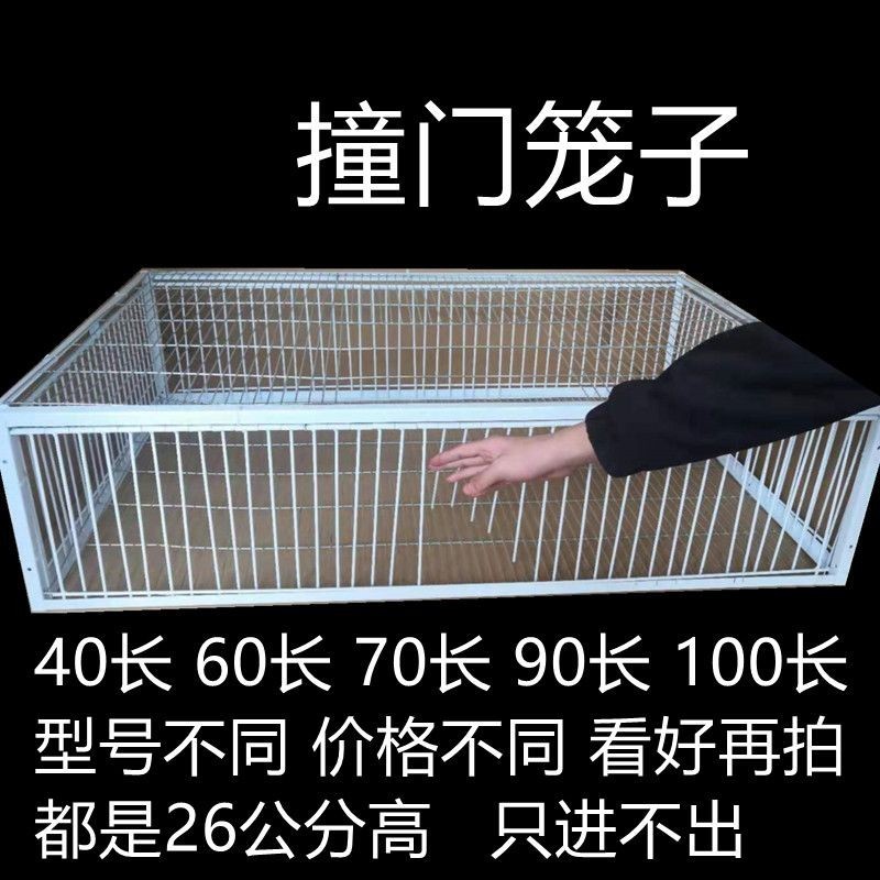 Believe Pigeon Supplies Utensils Pigeon Utensils Active Door Pigeon Jumping Cage Door Act