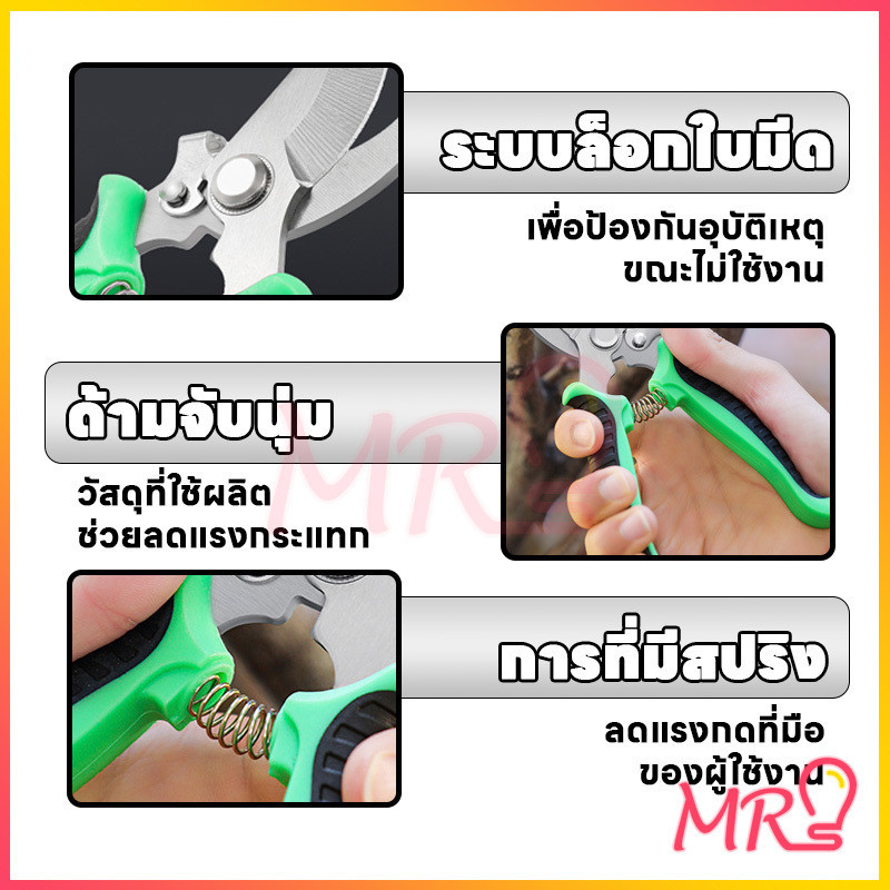 กรรไกรตัดกิ่งไม้ กรรไกรแต่งกิ่งปากโค้ง กรรไกรทำสวน มีหลายสีให้เลือก กรรไกรตัดกิ่ง แบบสเตนเลส รูปที่ 7