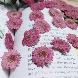 12 ชิ้นดอกเบญจมาศสีม่วงขนาดเล็ก DIY บุ๊คมาร์ค