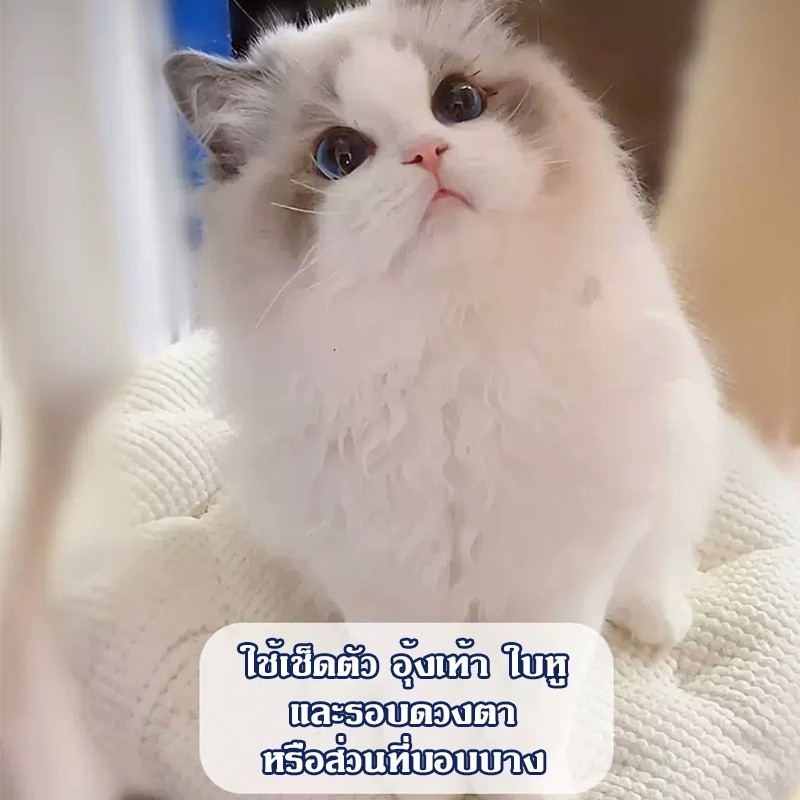 [พร้อมส่ง] ทิชชู่เปียก Pet wipes 80X20แพ็ค แผ่น ผ้าเช็ดตาและหูสัตว์เลี้ยง สำหรับเช็ดสัต ว์เลี้ยง ทิชชู่เปียก COD - รูปที่ 2