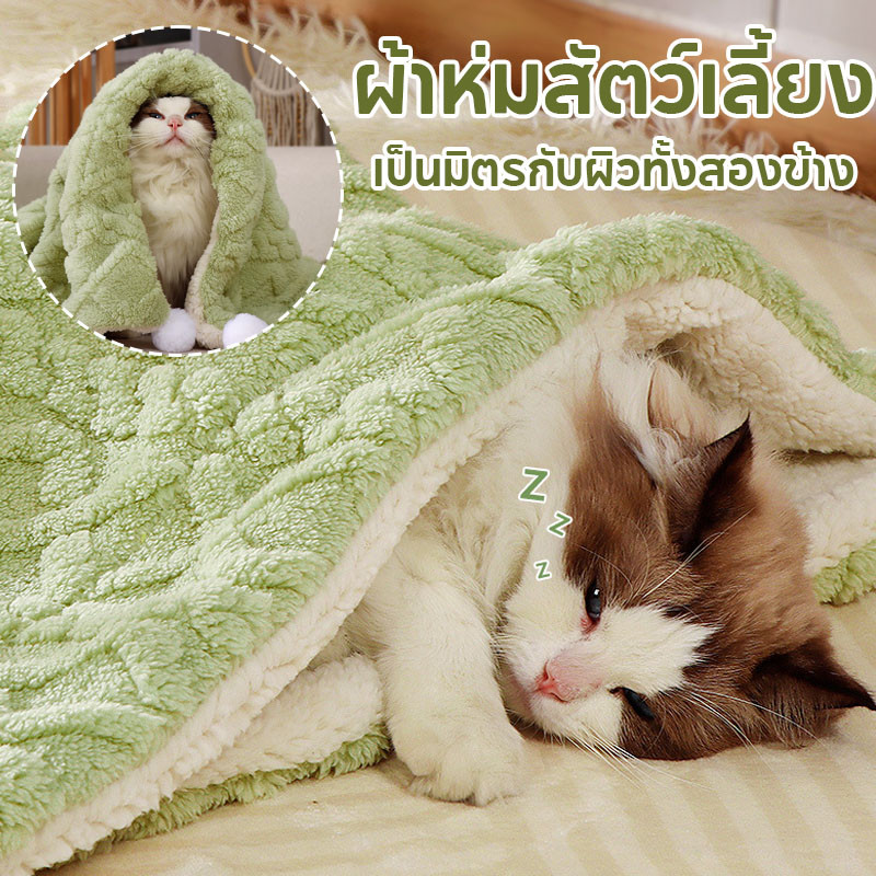 พร้อมส่ง การกัดฟันและทําความสะอาด ผ้าฝ้ายตุ๊กตานุ่มในตัว ดีดตัวง่าย เป็นมิตรกับผิวทั้งสองข้าง