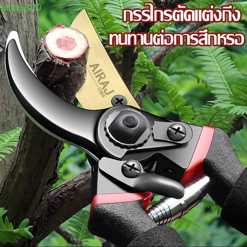 กรรไกรตัดกิ่งไม้ ประหยัดแรงงาน กันไกรตัดกิ่งกรรไกรตัดกิ่งไม้ กรรไกรตัดหญ้า แต่งสวน กรรไกรตัดกิ่ง sk5✂️
