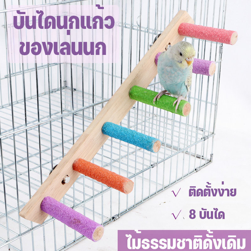 บันไดนกแก้ว ของเล่นนก คอนลับเล็บ  8 บันได ของเล่นบันไดกรงนก ติดตั้งง่าย ไม้ธรรมชาติดั้งเดิม