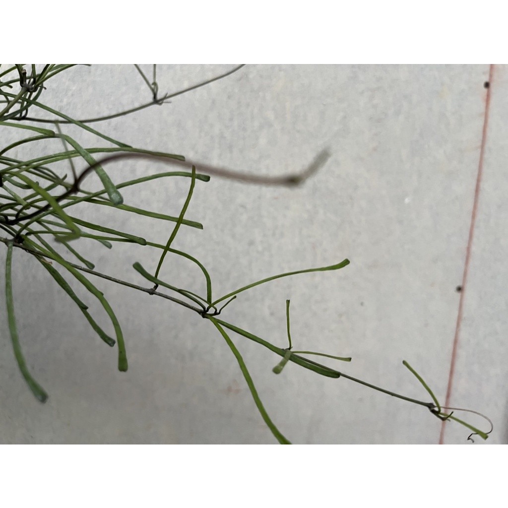 มุมมอง 4